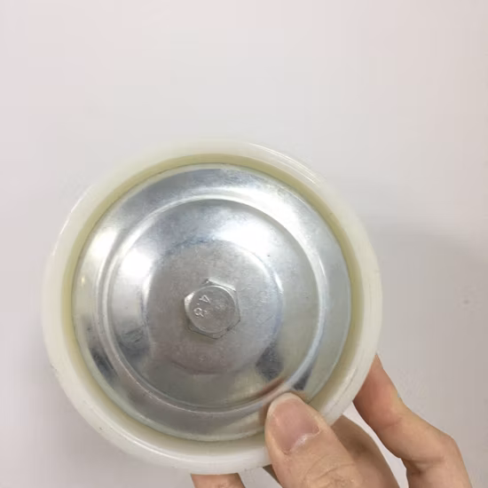 Wbd China Manufacturer Industrial 3-10 Inch Rubber Steel Core Caster Wheels with Dust Cover